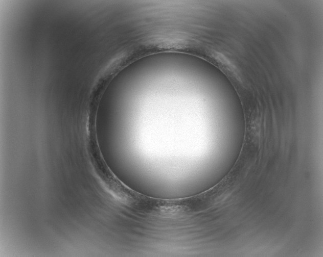 X0000071840686200607072236