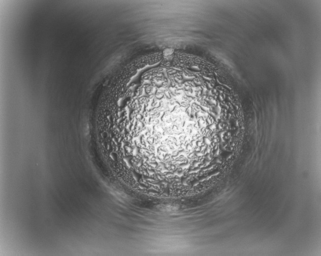 X0000071840687200607072236