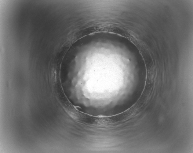 X0000071840703200607072236