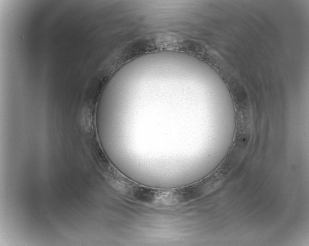 X0000071840705200607072236