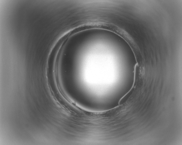X0000071840724200607072235