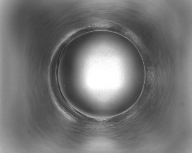X0000071840726200607072235