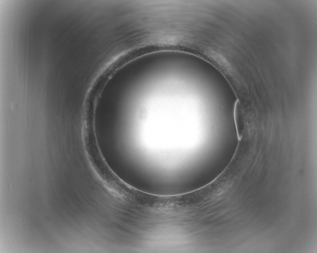 X0000071840728200607072235