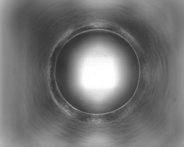 X0000071840730200607072235