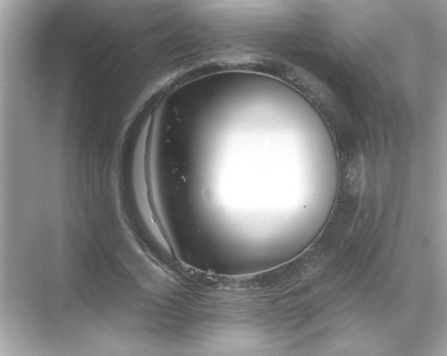 X0000071840732200607072235