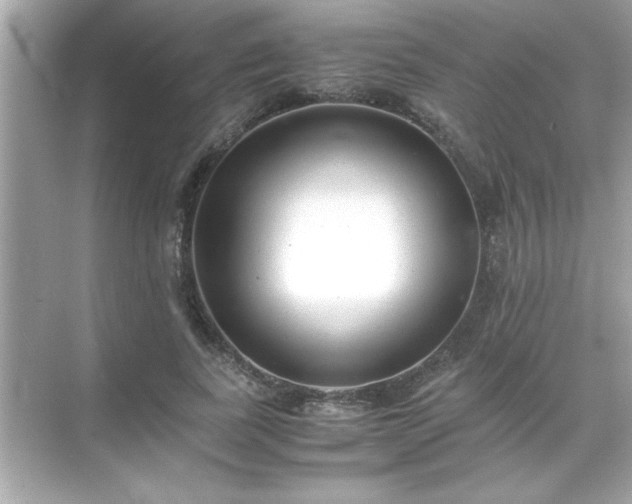 X0000071840739200607072235