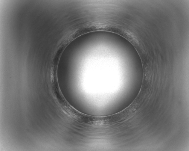 X0000071840740200607072235