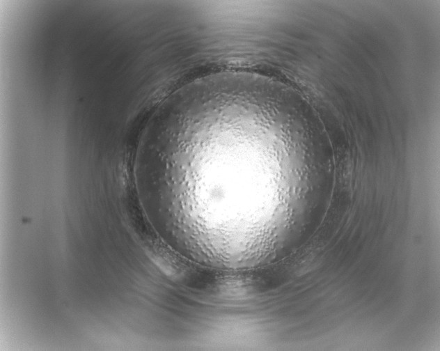 X0000071840746200607072235