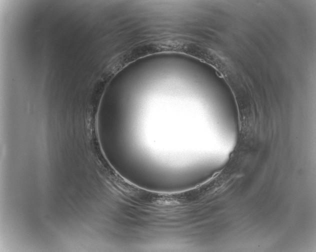 X0000071840749200607072235