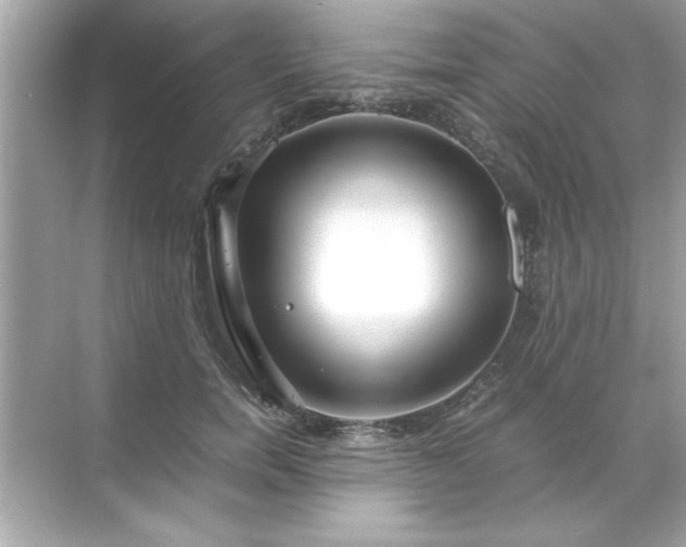 X0000071840750200607072235