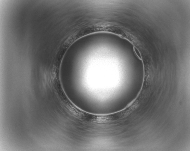 X0000071840758200607072235