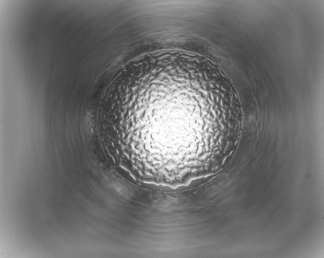 X0000071840772200607072235