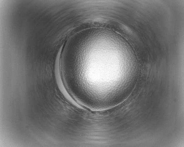 X0000071840774200607072234