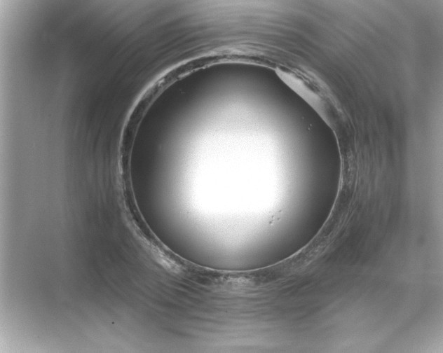 X0000071840784200607072234
