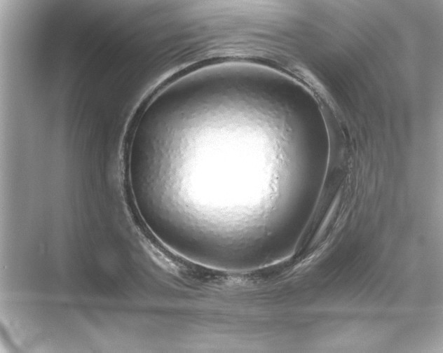 X0000071840787200607072234