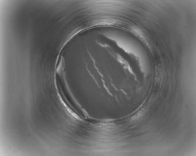 X0000071840802200607072234