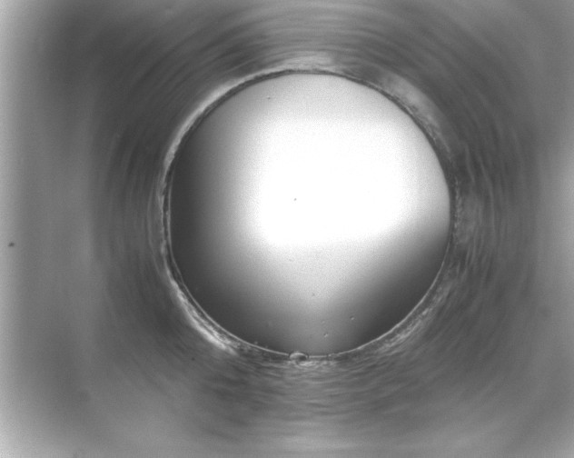 X0000071840808200607072234