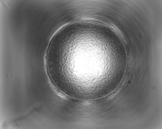 X0000071840814200607072234