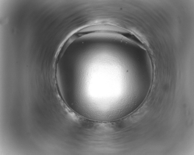 X0000071840816200607072234