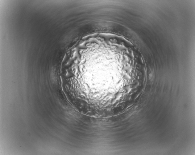 X0000071840819200607072233