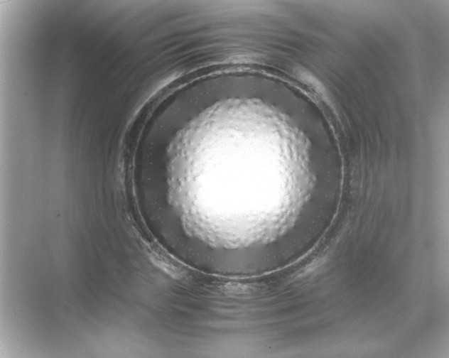 X0000071840827200607072233