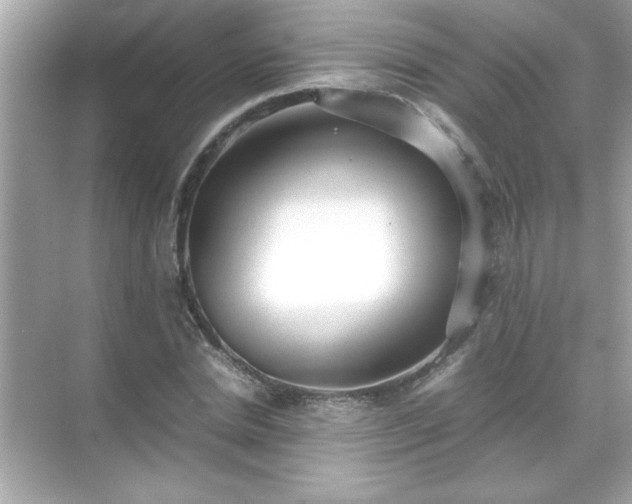X0000071840830200607072233
