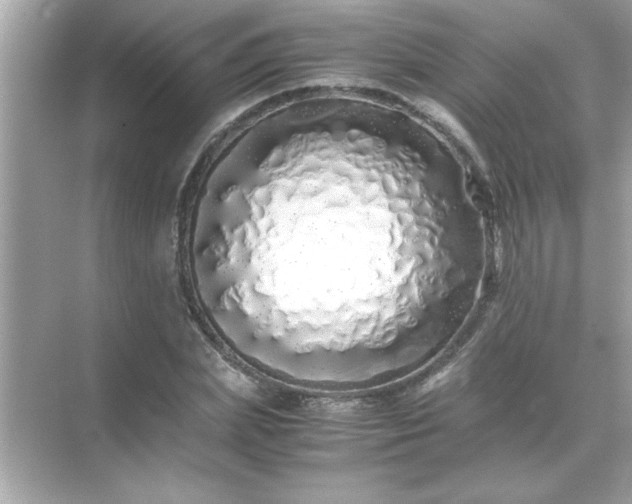 X0000071840831200607072233
