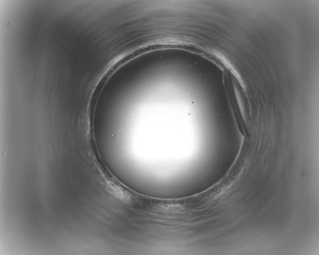 X0000071840837200607072233