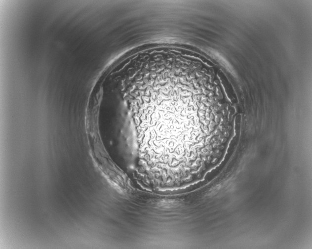 X0000071840839200607072233
