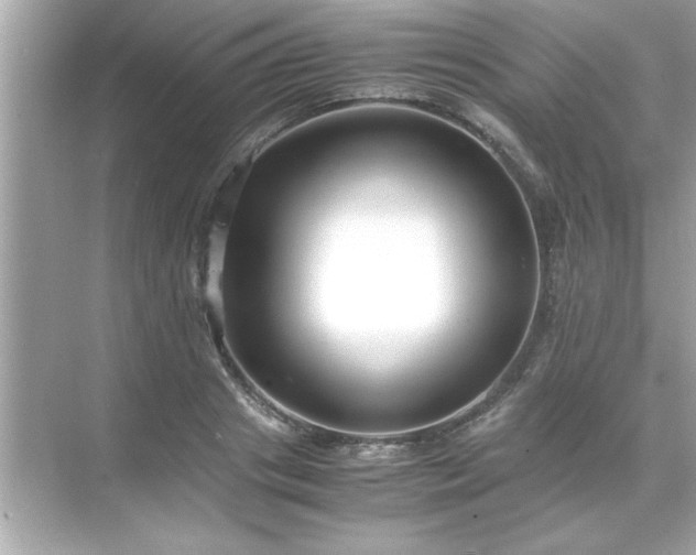 X0000071840841200607072233