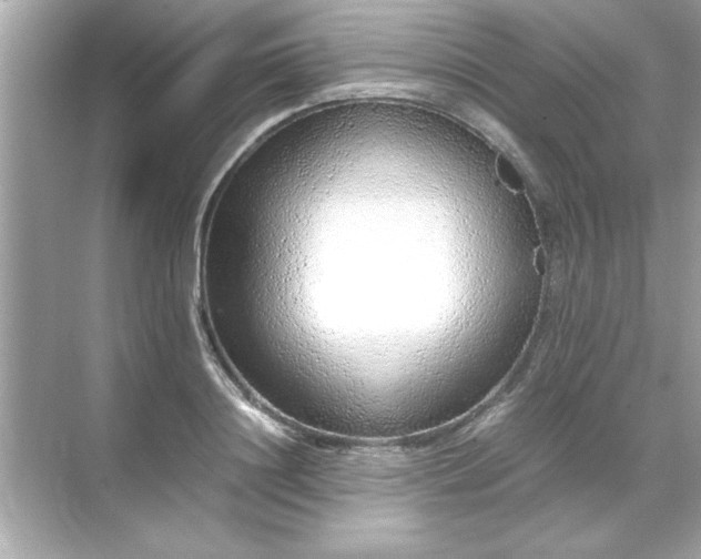 X0000071840844200607072233