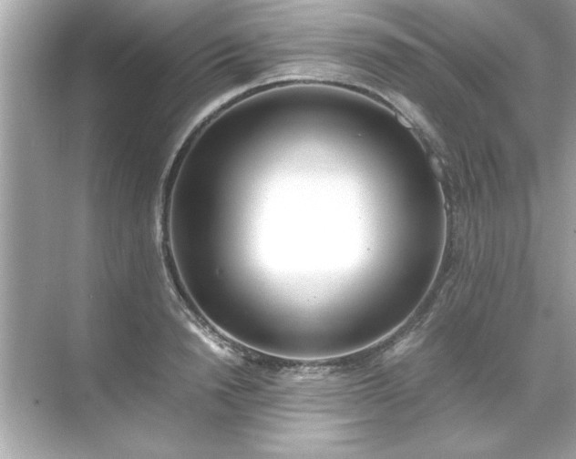X0000071840846200607072233