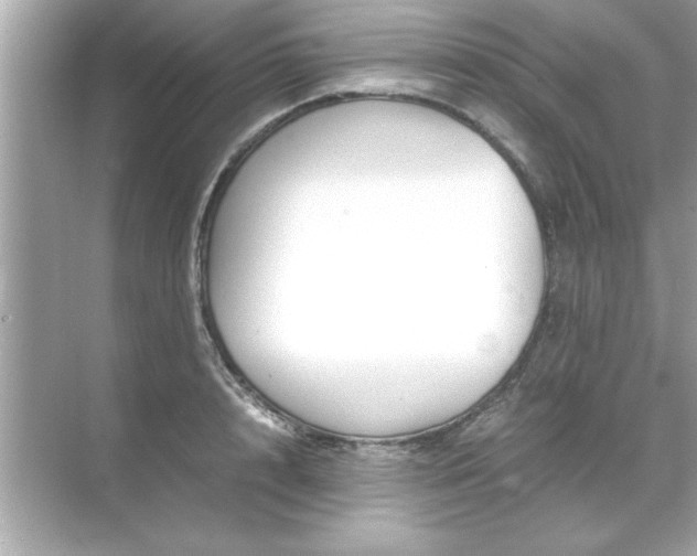 X0000071840848200607072233