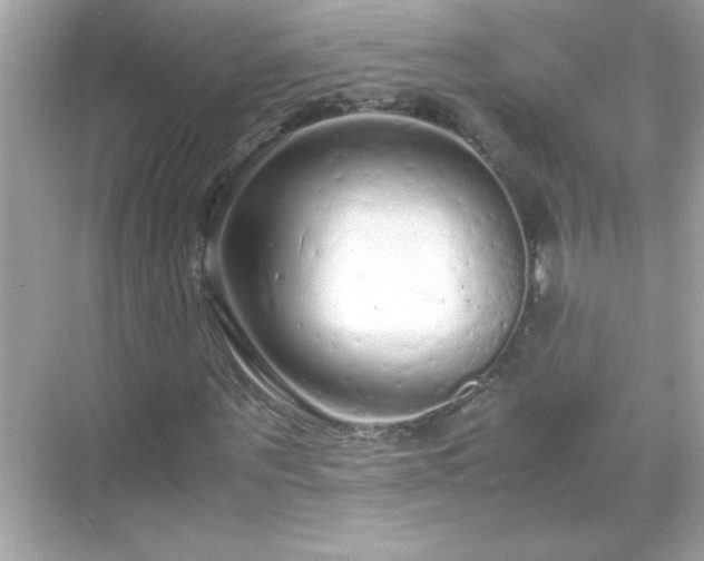 X0000071840867200607072233