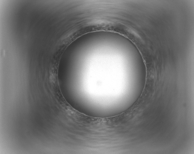 X0000071840869200607072233