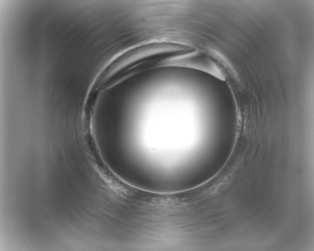 X0000071840876200607072233