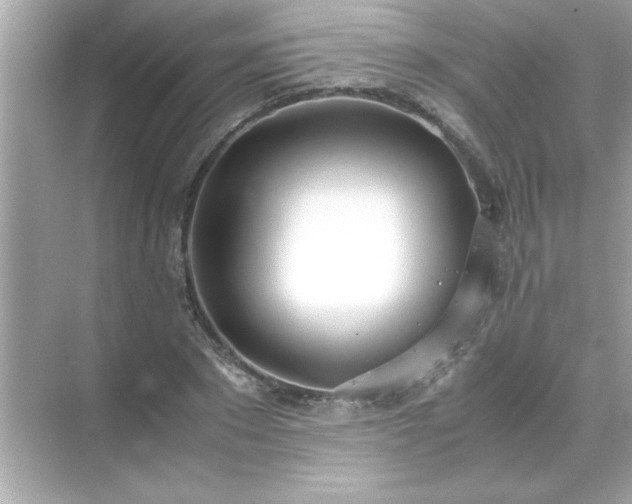 X0000071840881200607072233