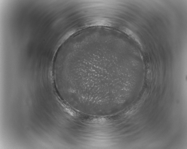 X0000071840882200607072233