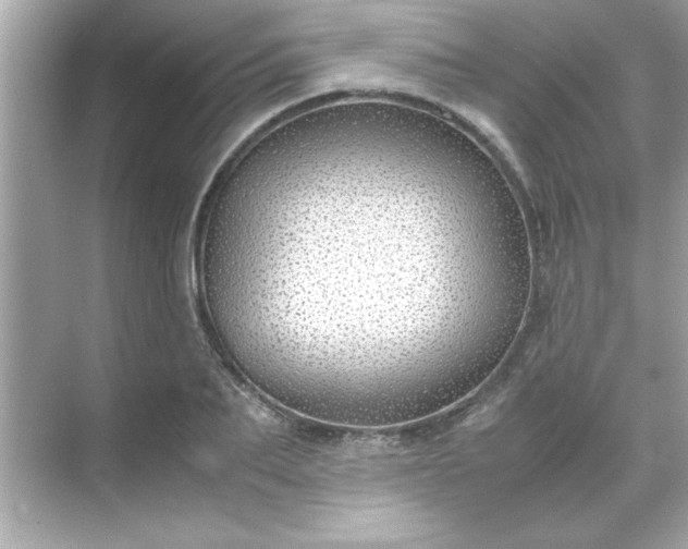 X0000071840887200607072233