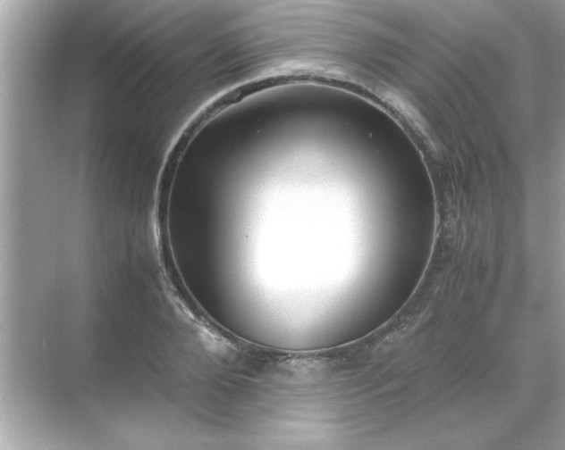 X0000071840888200607072233