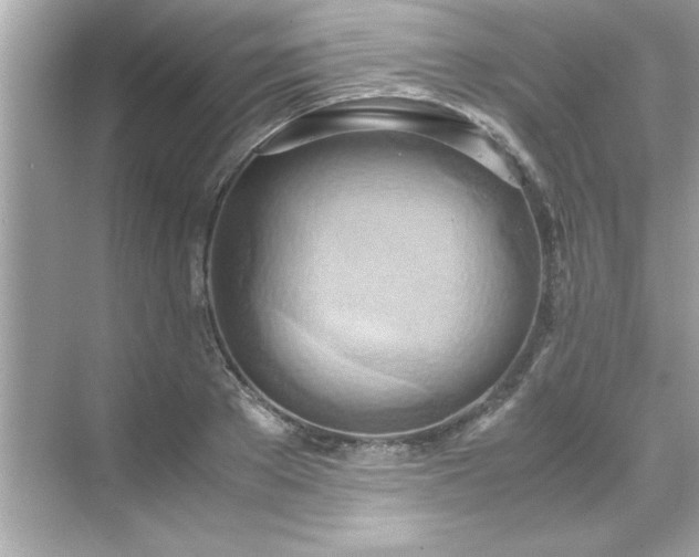 X0000071840889200607072233