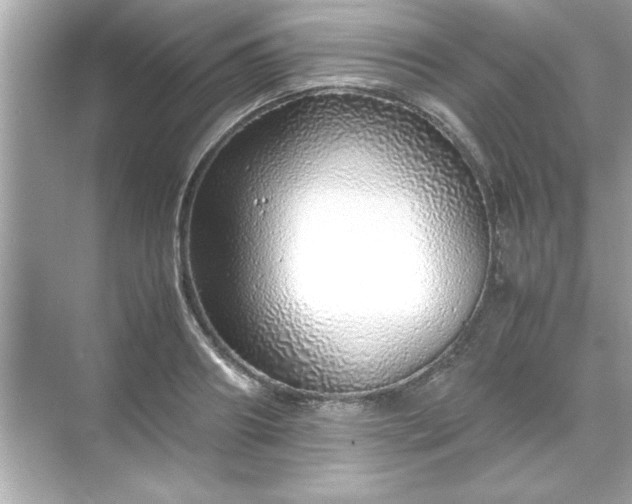 X0000071840890200607072233