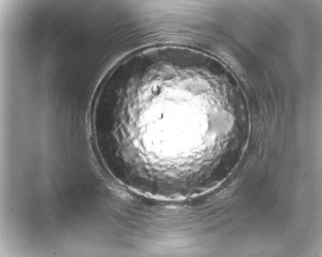 X0000071840891200607072232