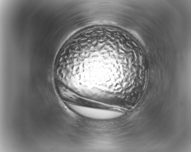 X0000071840895200607072232