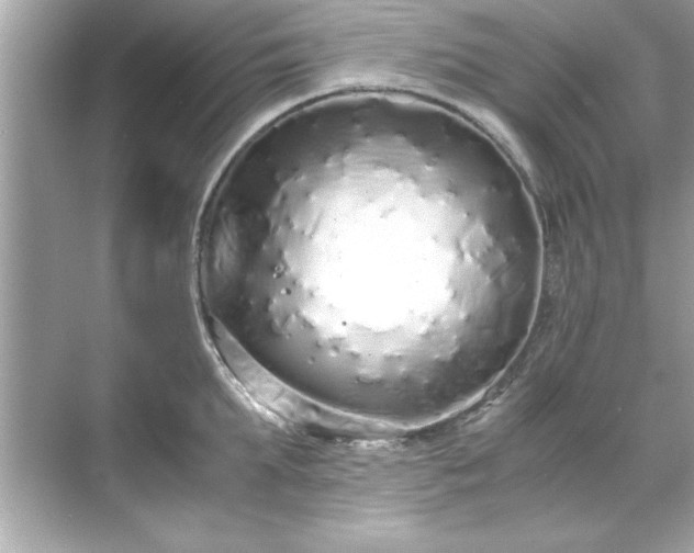X0000071840903200607072232