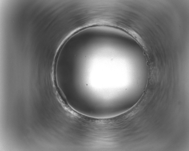 X0000071840904200607072232
