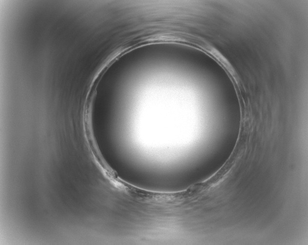 X0000071840909200607072232