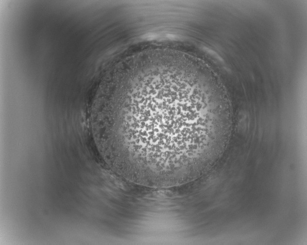 X0000071840966200607072231