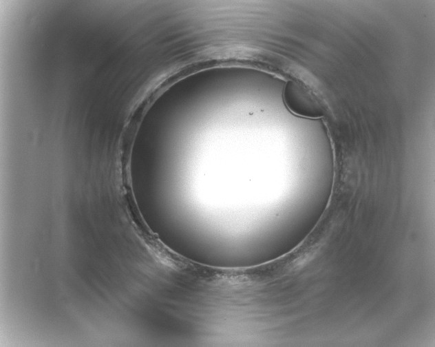 X0000071840978200607072231
