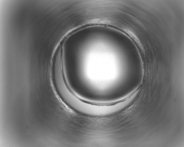 X0000071840992200607072231